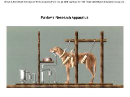 pavlov dog