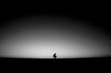 5366_10152699640780510_1411825311_n